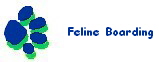 Feline Boarding