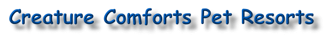 banner02